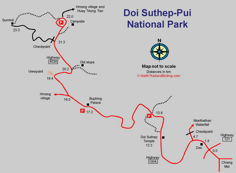 Doi Suthep Pui North Thailand Birding