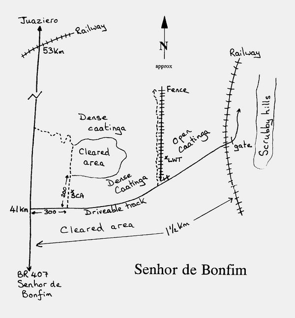 Bonfim map
