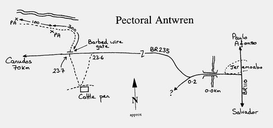 Pectoral Antwren map