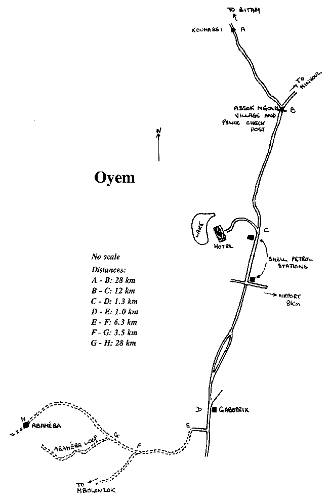Oyem map