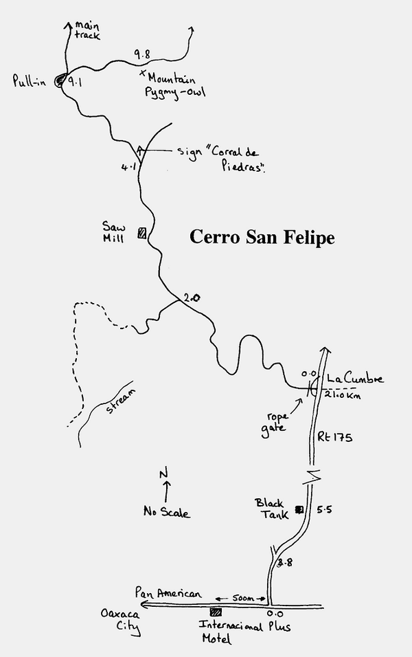 Cerro San Felipe map