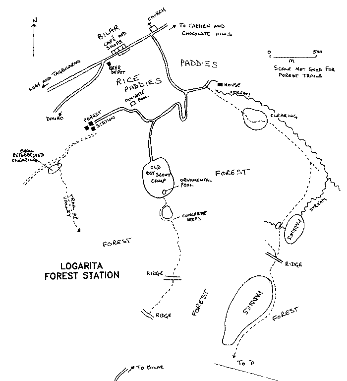 Logarita map
