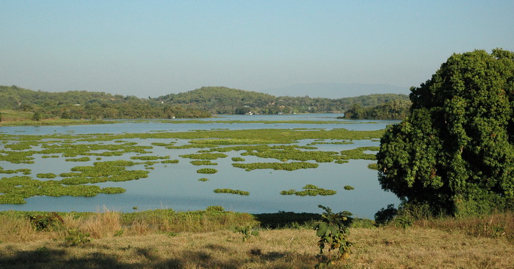 Chiang Saen Lake