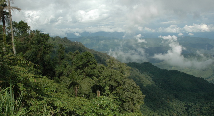 Doi Phu Kha