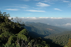 Gunung Muttis view