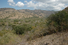 Komodo view