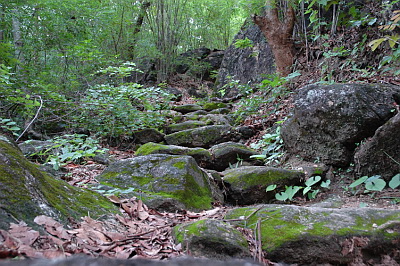 Ob Luang Prehistoric Trail