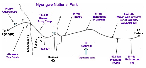 Nyungwe National Park