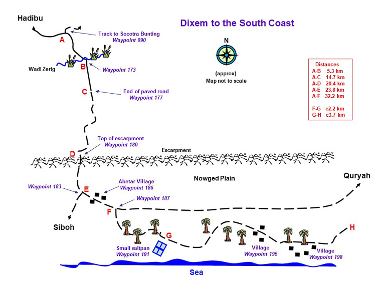 Dixem to the south coast