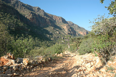 Wadi Ayhaft