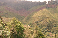Clearing of protected forest - Chelemhá
