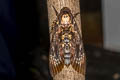 Greater Death's Head Hawkmoth Acherontia lachesis