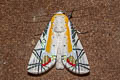 Picasso Moth Baorisa hieroglyphica